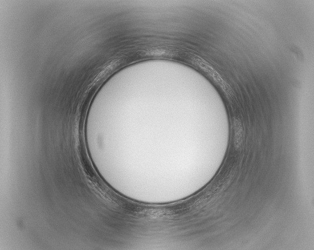 X0000116380482200912231403
