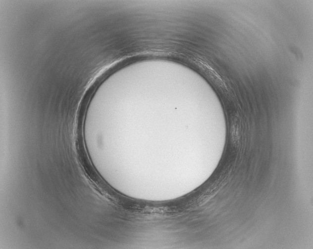 X0000116380484200912231403