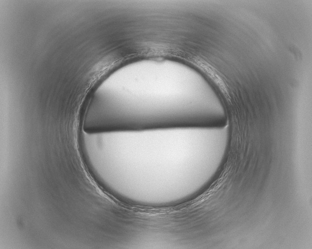 X0000116380485200912231403