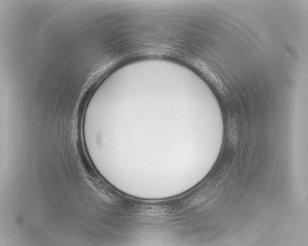 X0000116380486200912231403