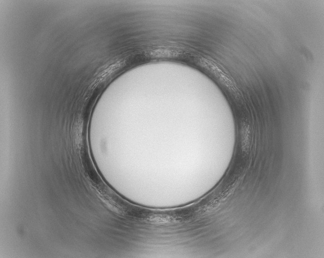 X0000116380490200912231403
