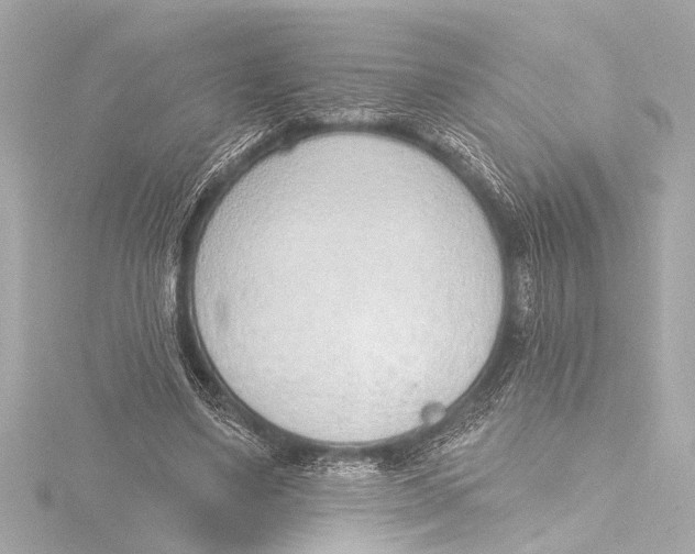 X0000116380491200912231403