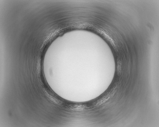 X0000116380493200912231403