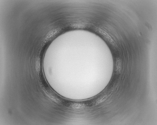 X0000116380494200912231403