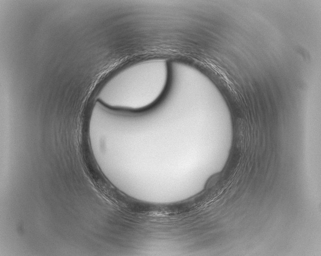 X0000116380496200912231403