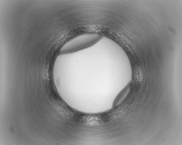 X0000116380512200912231403