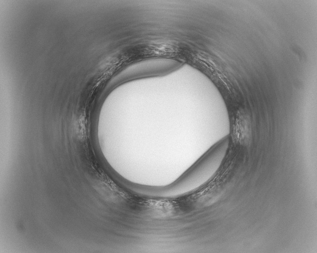 X0000116380520200912231403