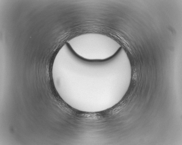 X0000116380524200912231403