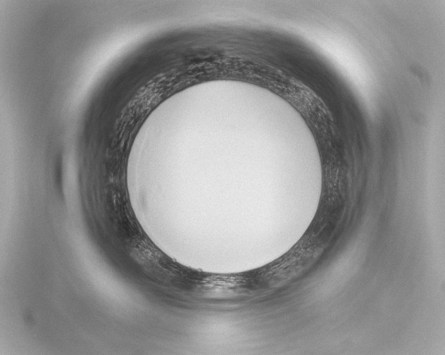 X0000116380526200912231403