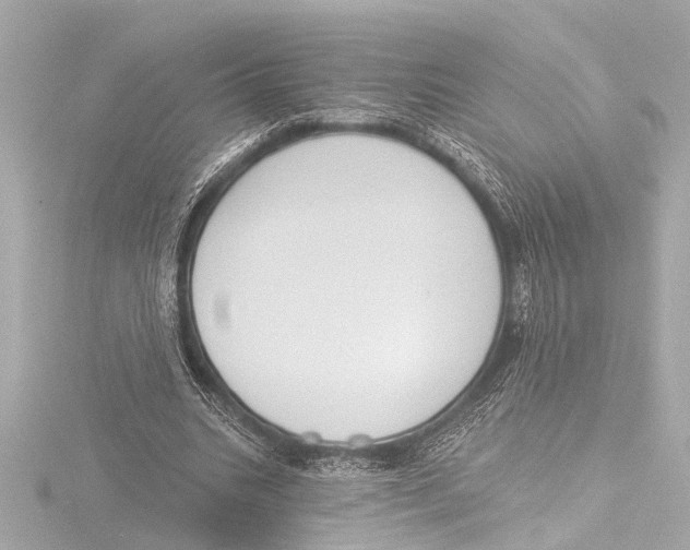 X0000116380535200912231402
