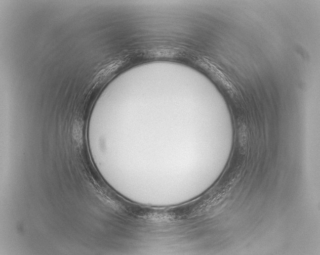 X0000116380537200912231402