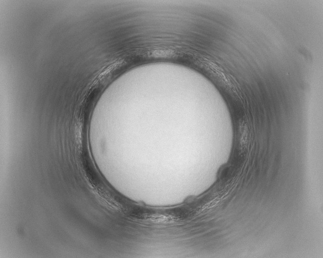 X0000116380542200912231402
