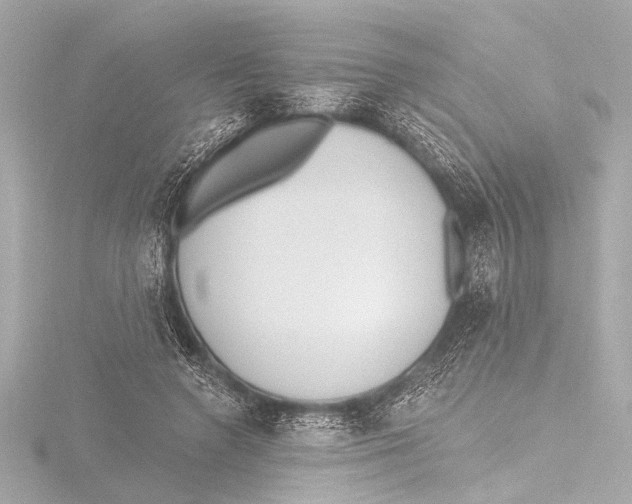 X0000116380546200912231402