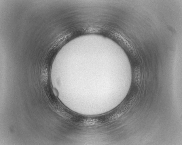 X0000116380549200912231402