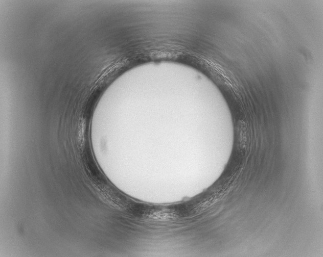 X0000116380550200912231402