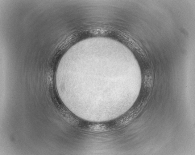 X0000116380561200912231402