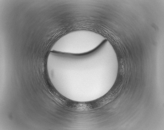 X0000116380562200912231402