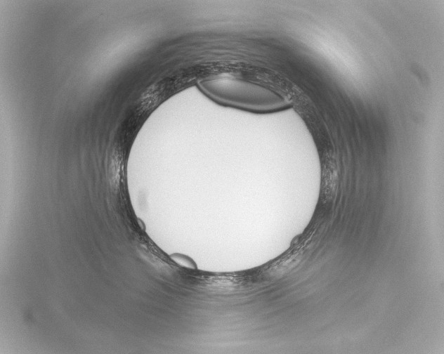 X0000116380574200912231403