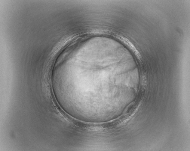 X0000116380577200912231402