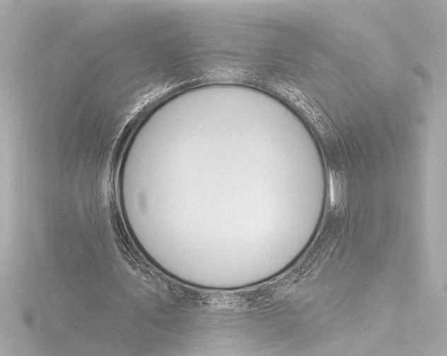 X0000116380579200912231402