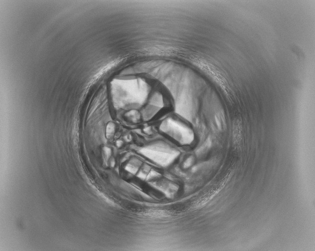X0000116380581200912231402