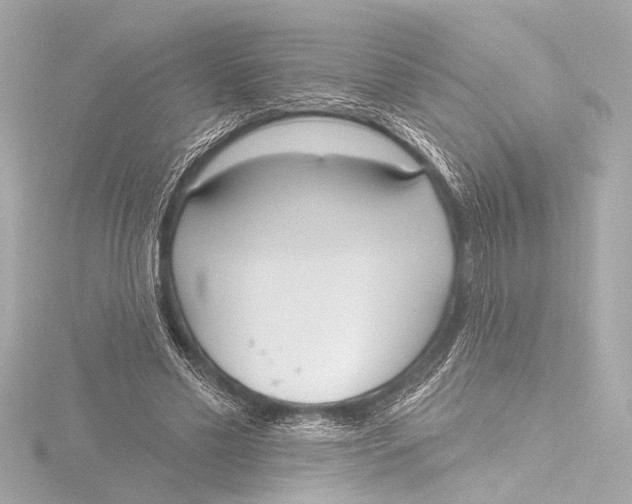 X0000116380589200912231402