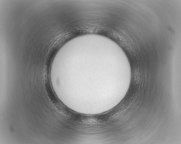 X0000116380594200912231402