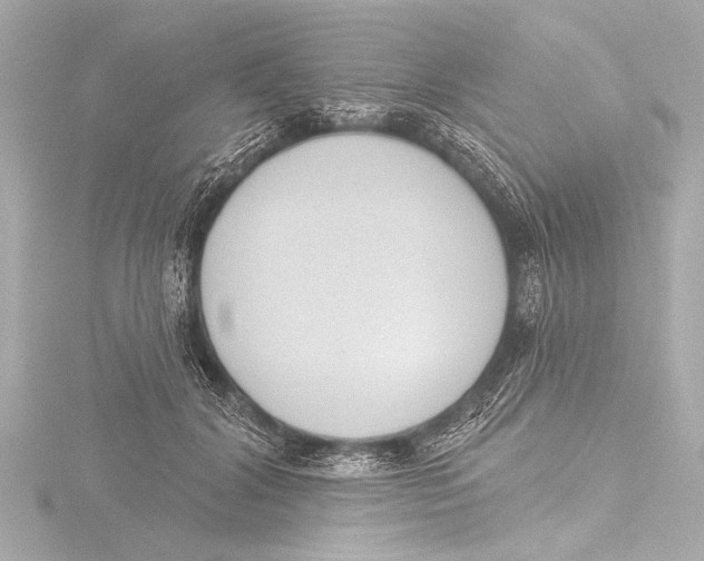 X0000116380604200912231402