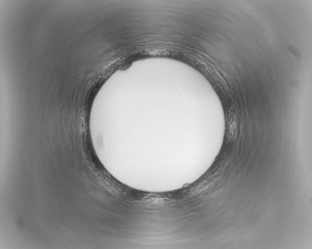 X0000116380620200912231401