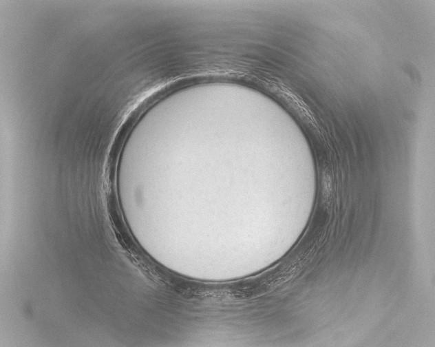 X0000116380628200912231401