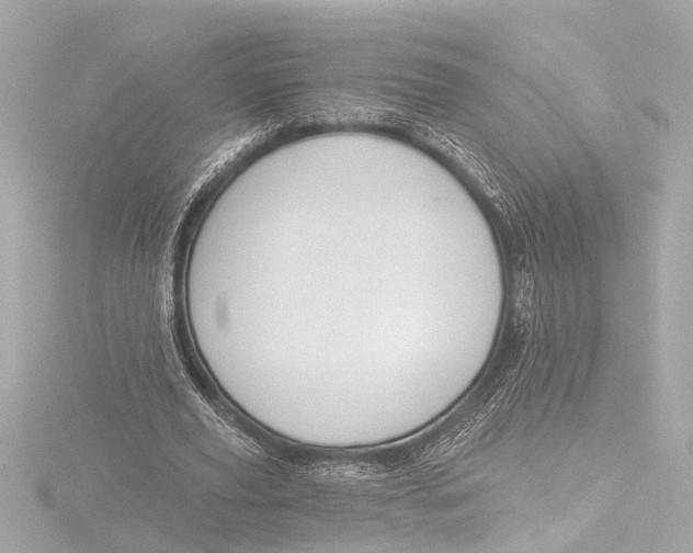 X0000116380629200912231401