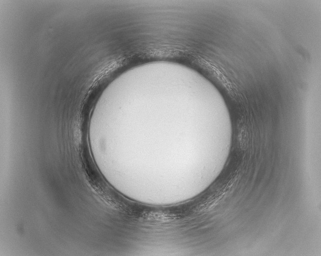 X0000116380635200912231401