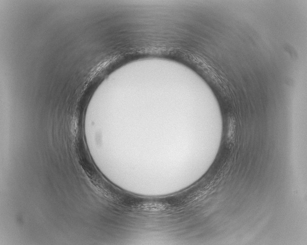 X0000116380636200912231401