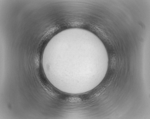 X0000116380644200912231401