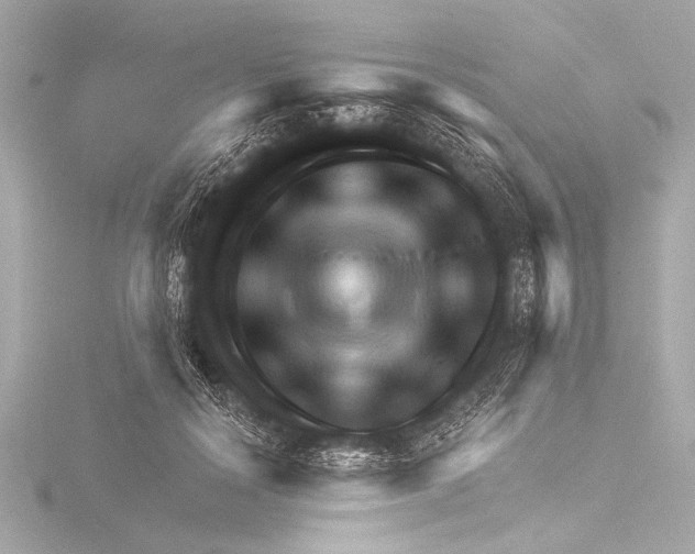X0000116380650200912231401