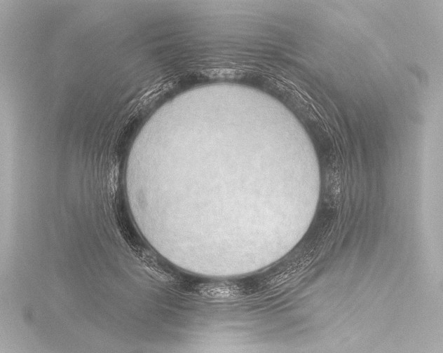 X0000116380652200912231401