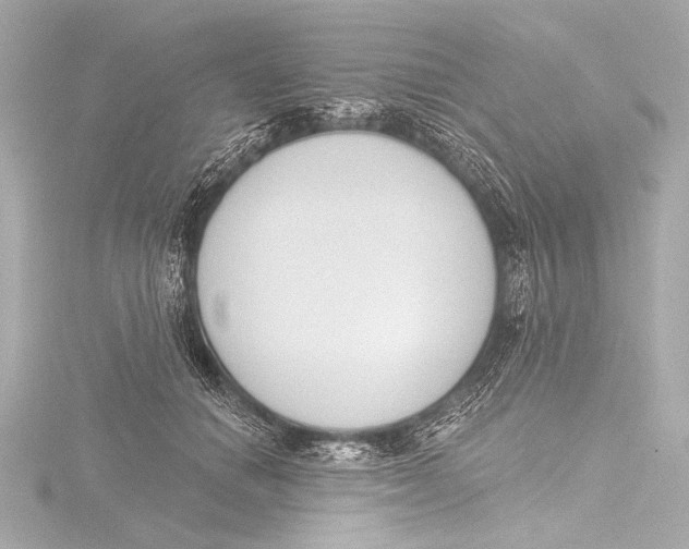X0000116380654200912231401