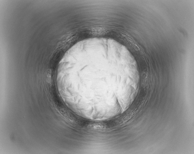 X0000116380655200912231401