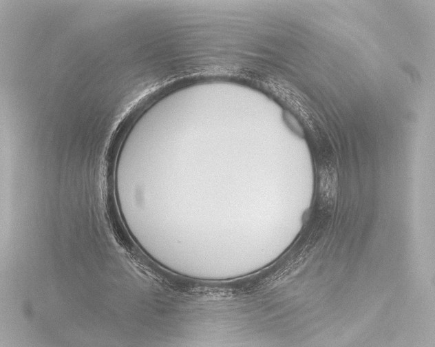X0000116380676200912231401