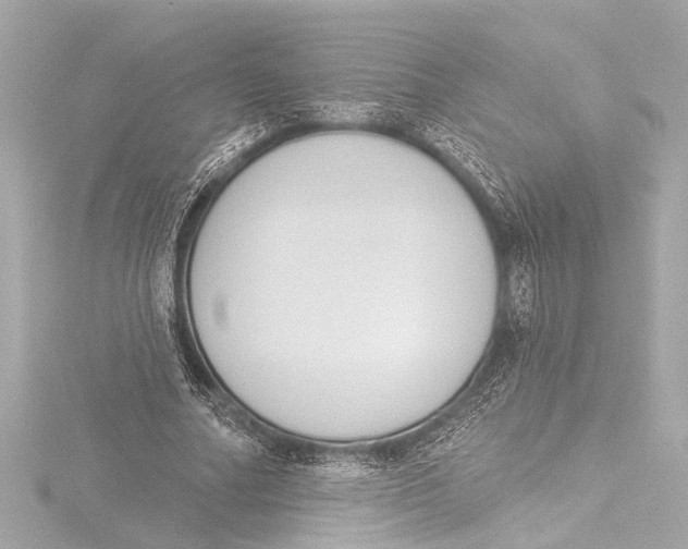 X0000116380682200912231401