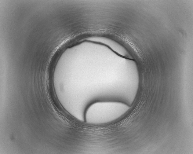 X0000116380684200912231401