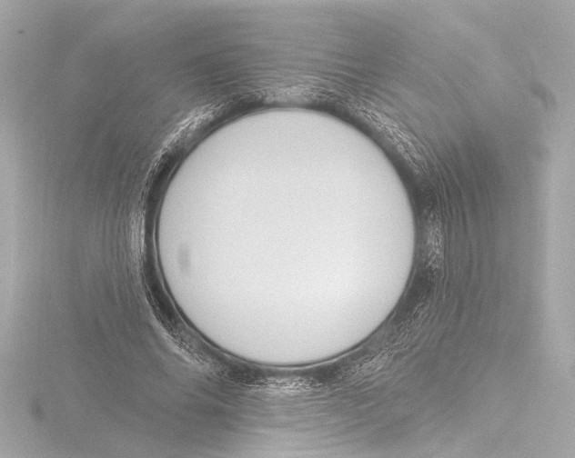 X0000116380686200912231401