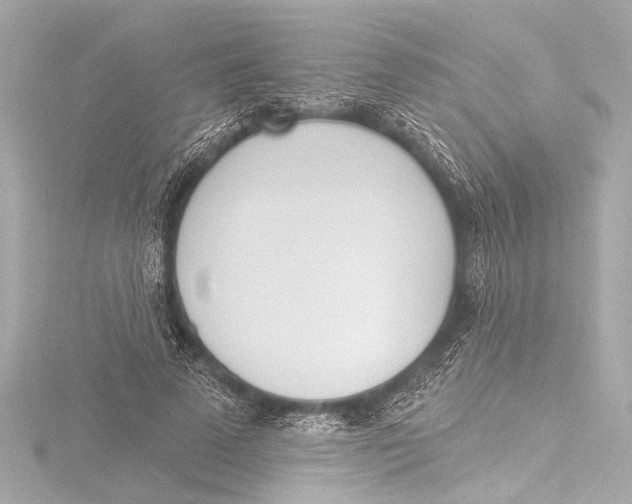 X0000116380689200912231401