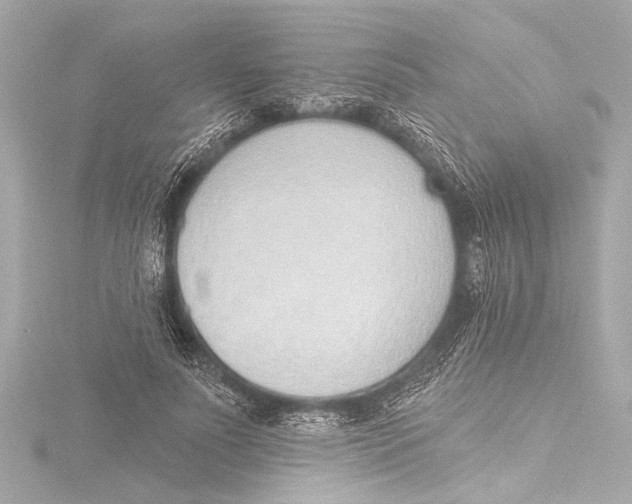 X0000116380691200912231401