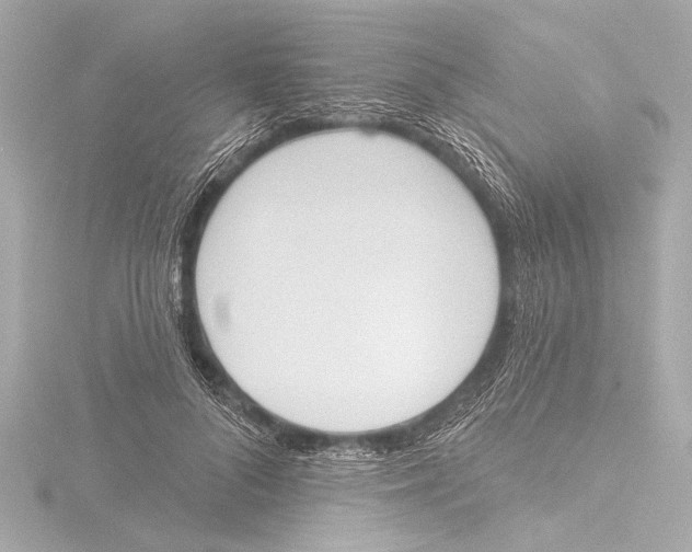 X0000116380696200912231401