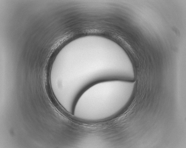 X0000116380725200912231400