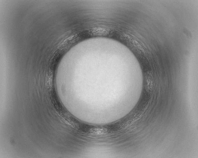X0000116380745200912231400