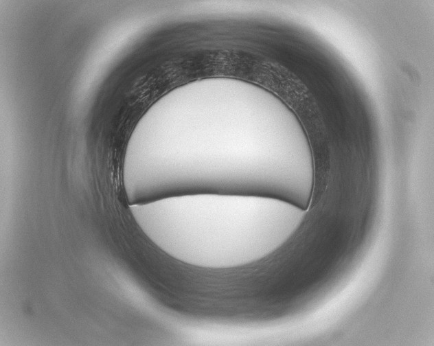 X0000116380766200912231400