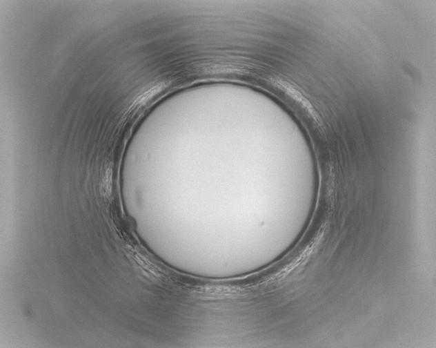 X0000116380777200912231400