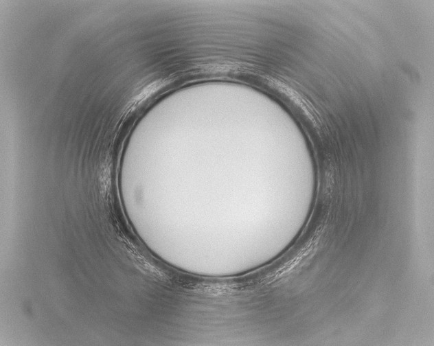 X0000116380778200912231359